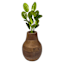 Mango Wood Flower Vase, 7"