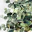 Green Plant Canvas Wall Art, 24"