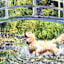 Dog Playin In Field Canvas Wall Art, 20x16