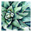Green Floral Canvas Wall Art, 24"