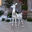 LED Disco Doe, 5'