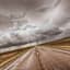 Dark Road Canvas Wall Art, 60x36