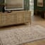 Catalina Cream & Grey Area Rug, 5x7.9