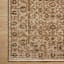 Alexandria Neutral Area Rug, 6x9
