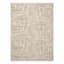 Amana Neutral Botanical Area Rug, 5.3x7