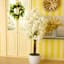 Honeybloom Yellow Flowers Canvas Wall Art, 40x30