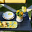 Sunny Club Indoor Yellow Ceramic Ombre Planter, 6"