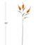 Orange Snapdragon Stem, 38"