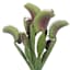 Grim Gardens Carnivorous Stem, 12"