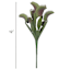 Grim Gardens Carnivorous Stem, 12"