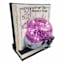 Spellbound Book with LED Ball, 7.5"