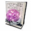 Spellbound Book with LED Ball, 7.5"