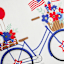 Sunny Club Patriotic USA Bicycle Outdoor Pillow, 16"