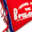 Sunny Club Pennant Home of The Brave Outdoor Pillow