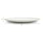 Matte Cream Coupe Dinner Plate