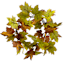 Maple Leaves Coiled Garland, 60"