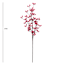 Pink Berries Ste, 31"