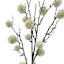 White Mini Ball Stem, 36"