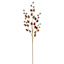 Light Brown Pinecone Stem, 30"