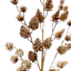 Light Brown Pinecone Stem, 30"