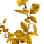 Yellow Leaves Coiled Garland, 60"