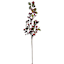 Brown Berries Stem, 33"