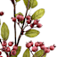 Pink Berries Stem, 29"