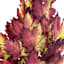 Red Maple Leaves Bush, 23"