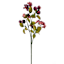 Pink Berries Stem, 19"