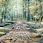 Framed Forest Path Canvas Wall Art, 41x31