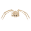 Halloween Spider Skeleton, 40.5"