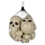 Bag of Skulls