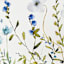 Blue Florals Canvas Wall Art, 60x36