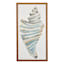 Honeybloom Framed Seashell Canvas Wall Art, 9x17