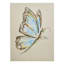 Reading Butterfly Canvas Wall Art, 12x16
