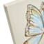 Reading Butterfly Canvas Wall Art, 12x16