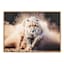 Leopard Canvas Wall Art, 28x20