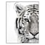 Glass Tiger Print Wall Art, 22x28