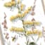 Glass Framed Floral Wall Art, 16x31
