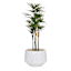 Indoor White Lava Reactive Ceramic Planter, Medium