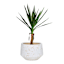 Indoor White Lava Reactive Ceramic Planter, Large