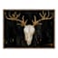 Glass Framed Southwest Skull Print Wall Art, 25x19