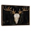 Glass Framed Southwest Skull Print Wall Art, 25x19