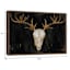 Glass Framed Southwest Skull Print Wall Art, 25x19