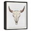 Glass Framed Skull Print Wall Art, 34x46