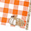 Homespun Harvest Pumpkin Gingham Check Placemat