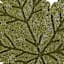 Homespun Harvest Leaf Fully Beaded Placemat