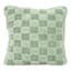 Mint Plush Check Throw Pillow, 18"