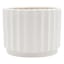Indoor White Wave Cylinder Ceramic Pot, Large