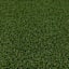 Artificial Turf, 6x9